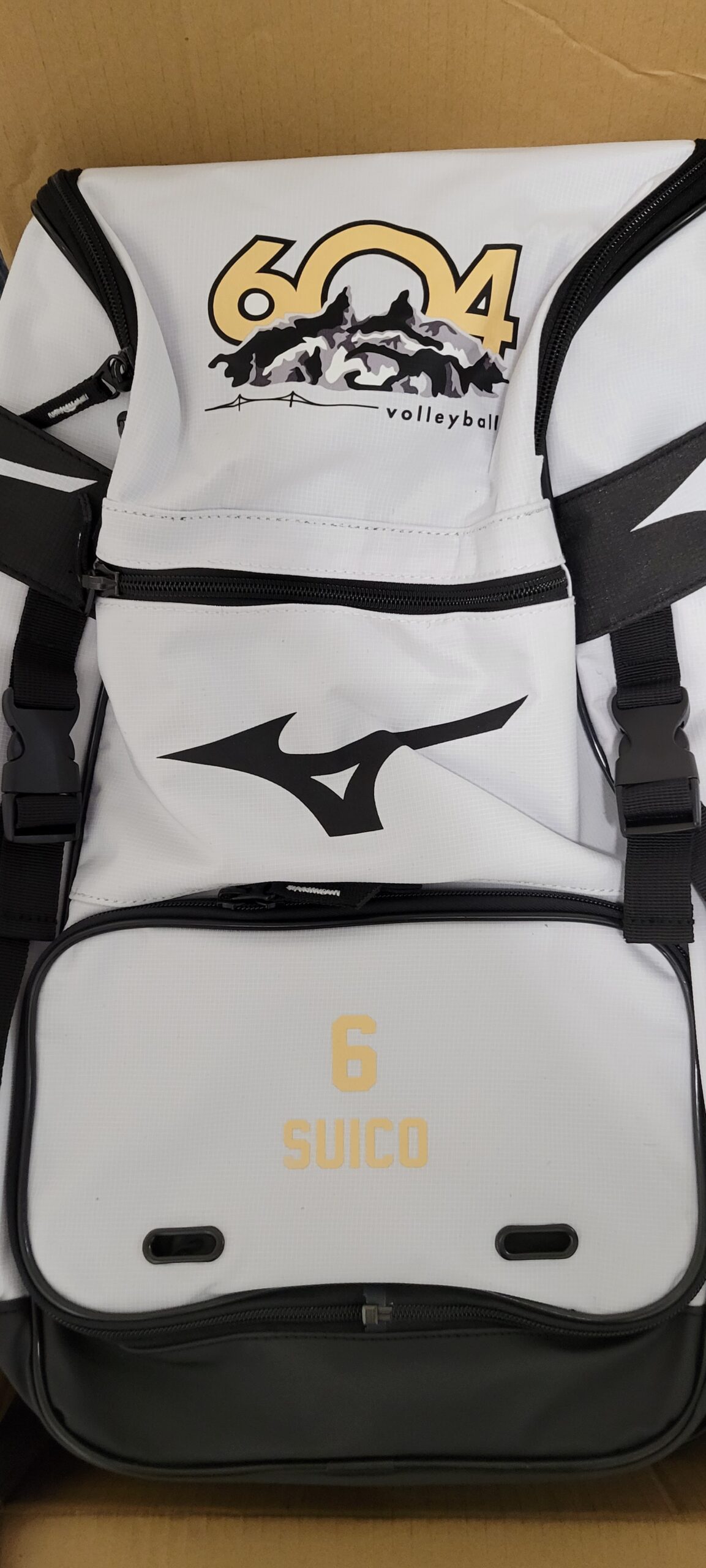 Mizuno on sale volleyball backpack